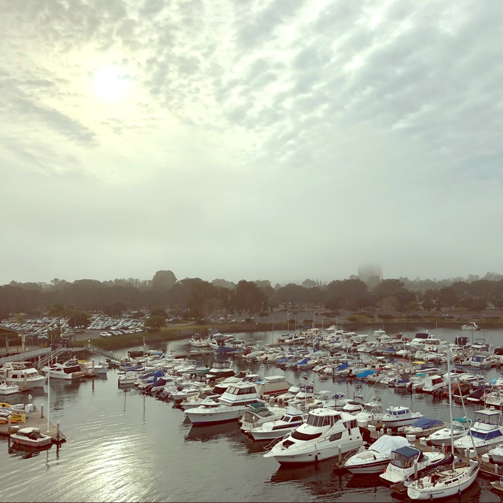 Meet your Posher, Bobagrl321